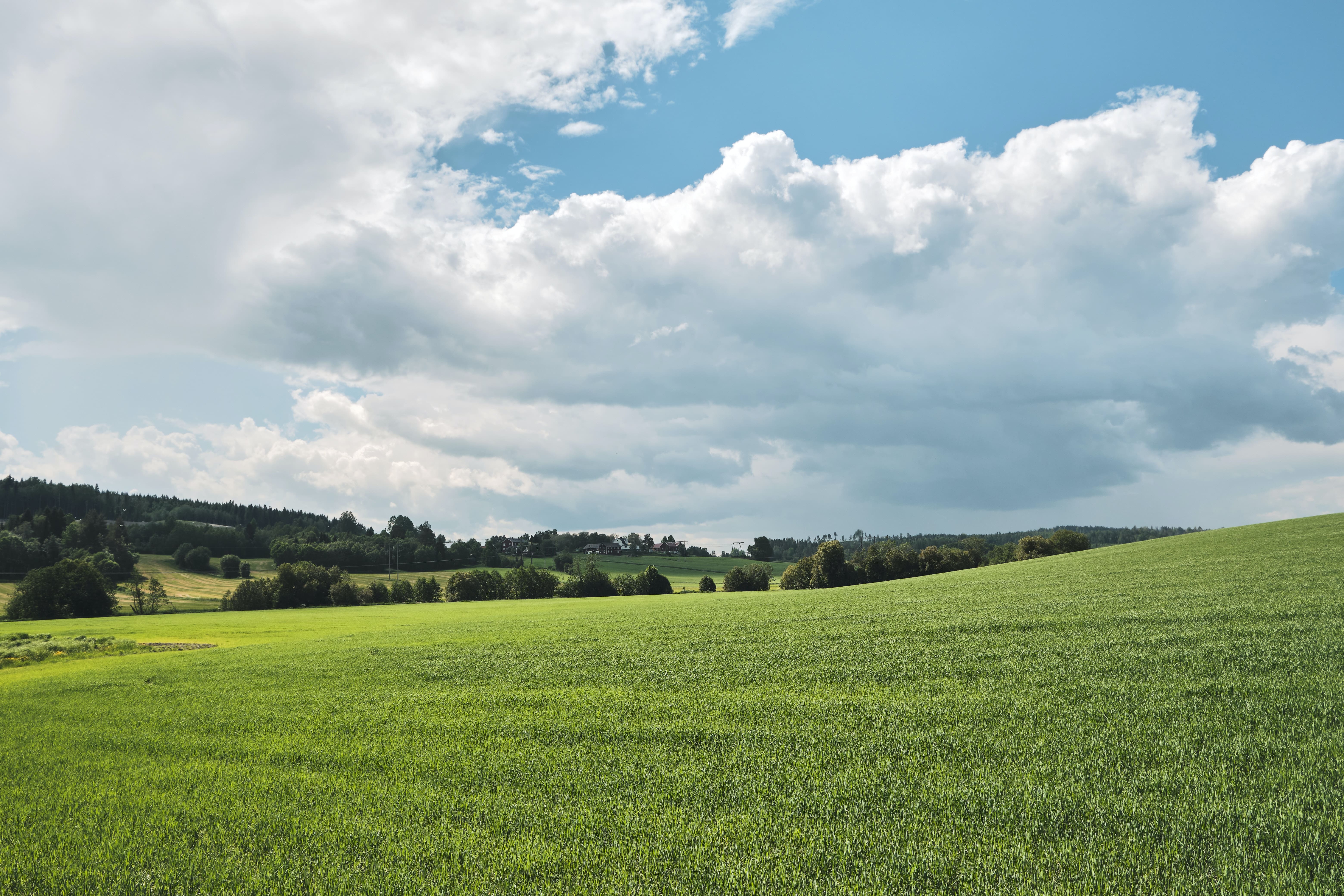 Farms