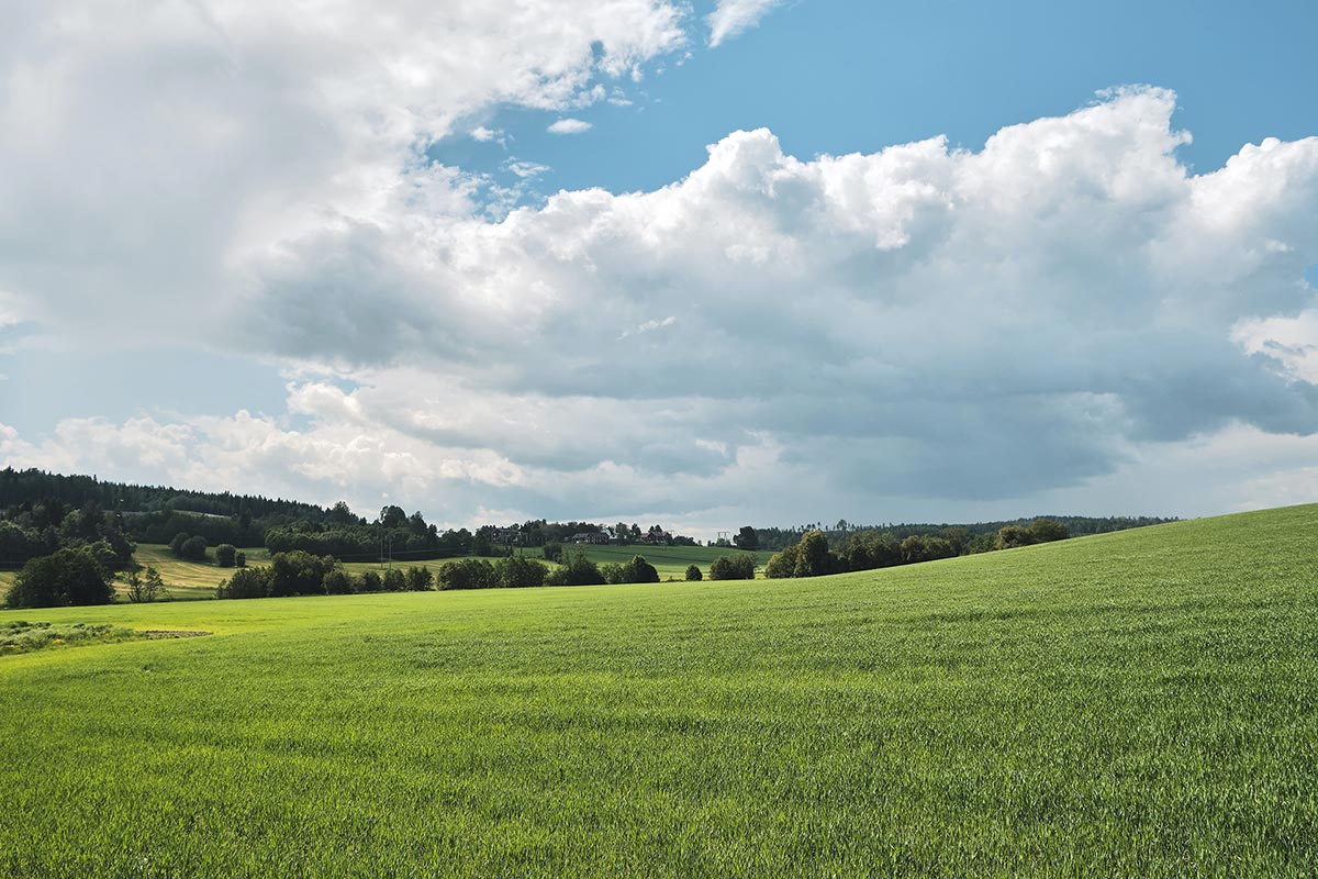 Farms